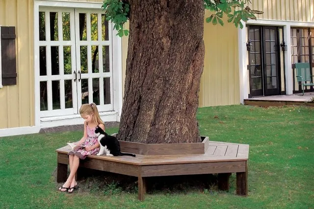 скамейка вокруг дерева