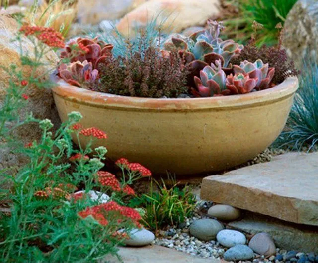 Устройства для рокариев: глиняные сосуды с растениями.