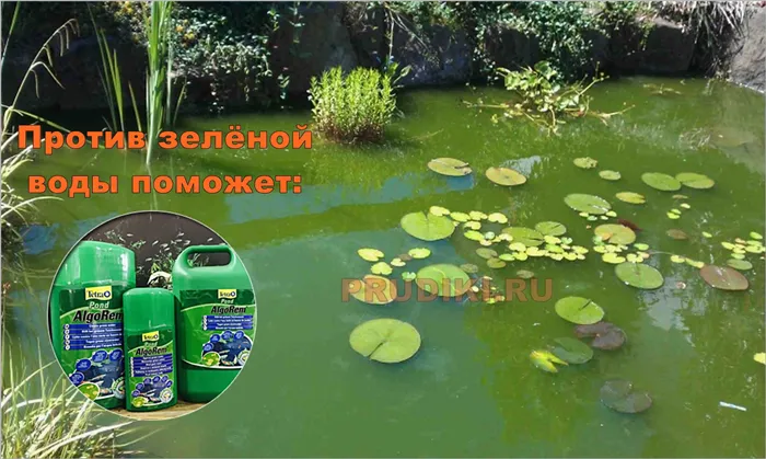 Эффективное средство против вредных водорослей в прудах, зеленой, мутной воды и цветения прудовой воды!
