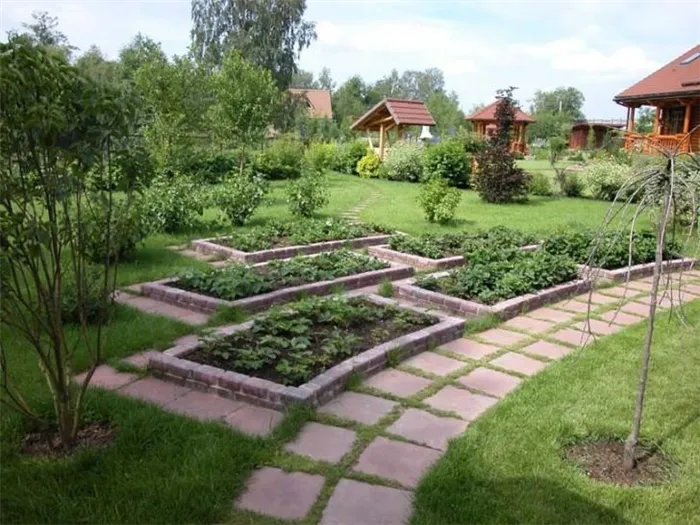 Дизайн огорода своими руками: 100 фото.