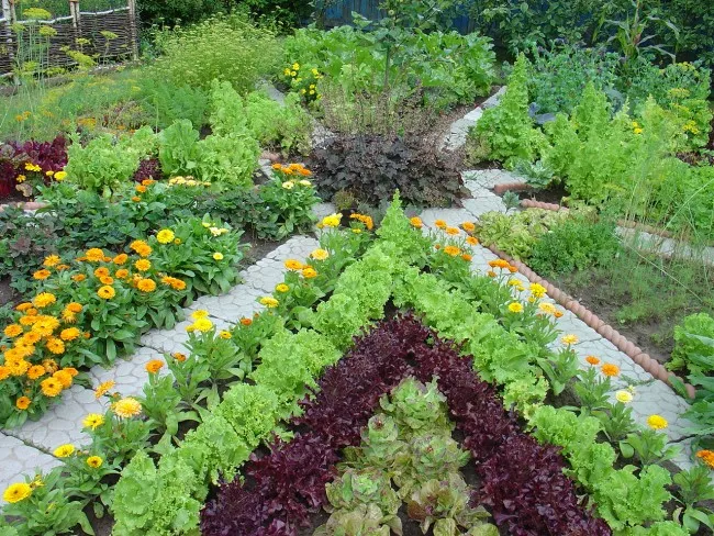 Грядки для сада: высокие, умные, ленивые. Цветочное фото дизайна огорода.