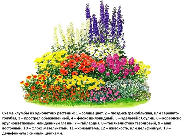 Планы цветочных клумб