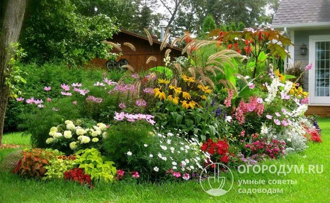 При посадке декоративных многолетников следует учитывать тип растений, требования к уходу за ними и общий стиль сада.