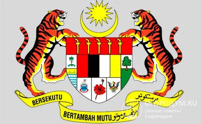 В Малайзии гибискус является одним из национальных символов, он изображен на гербе страны (см. фото) и на монетах.