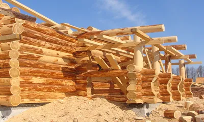 Строительство деревянных бревенчатых домов (24) Бревна
