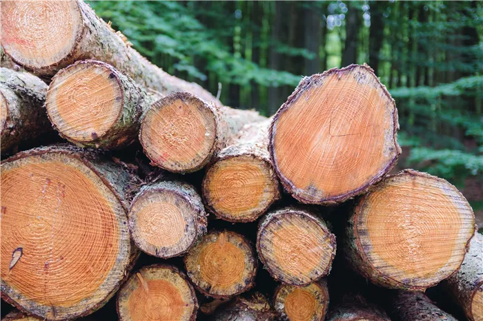 Вес сосновой древесины/кубический метр