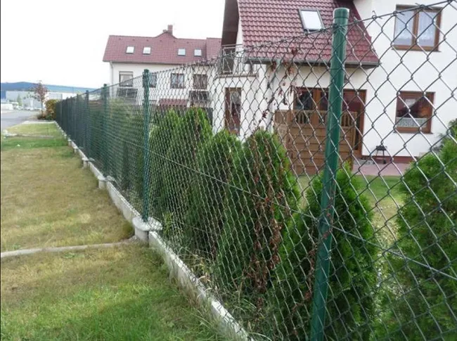 Забор из собачьих стрел