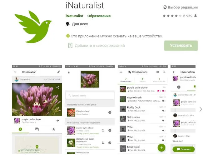 Приложение для идентификации растений: iNaturalist