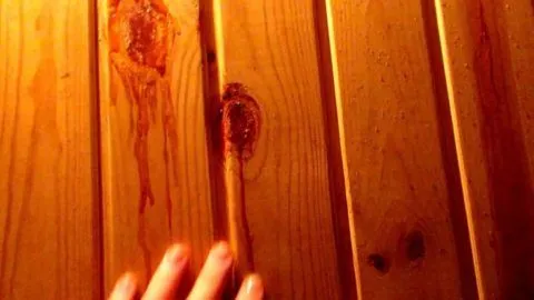 Вот как ведет себя хвойная древесина при высоких температурах