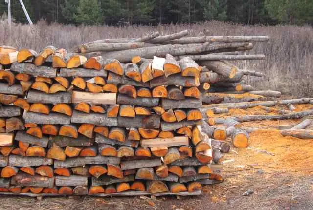 Производство ольховых дров