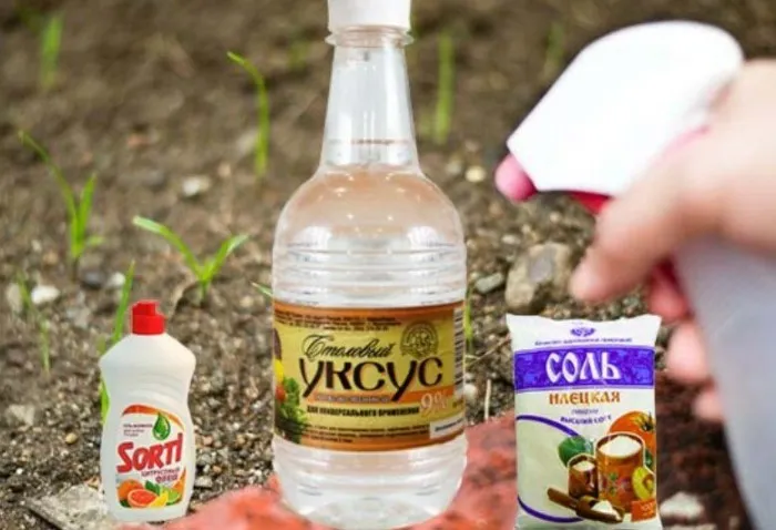 Чтобы приготовить гербицидное мыло, смешайте жидкое мыло (гель для мытья посуды), уксус и соль / Фото: golosros.ru