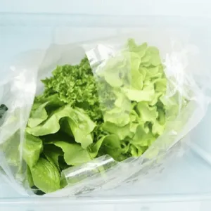Как ухаживать за салатом-латуком