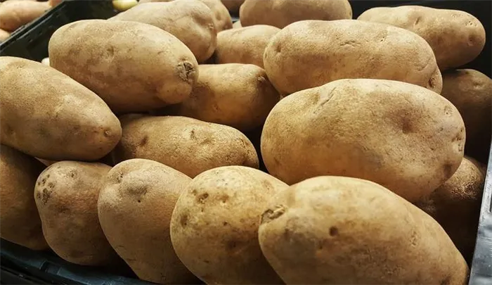 Как прорастить картофель - 5 различных способов - фото