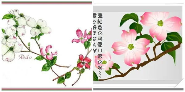 Изображение кизила на гравюрах. Фото с сайта blog.goo.ne.jp