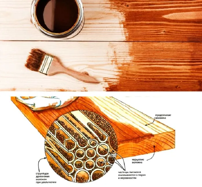 Διείσδυση της βαφής στη δομή του ξύλου