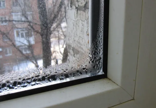 Почему на окнах вашей квартиры образуется конденсат?