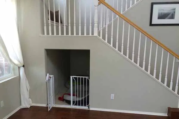 Собаки, бегущие по лестнице