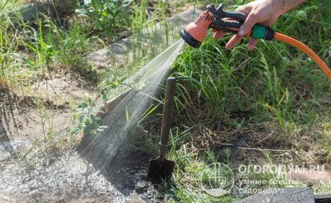 Наличие воды на участке земли решает проблему орошения культурных растений и дает надежду на сбор урожая