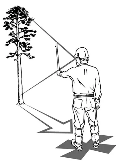 Определение площади падения деревьев