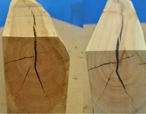 Трещины в древесине могут появляться по ряду причин