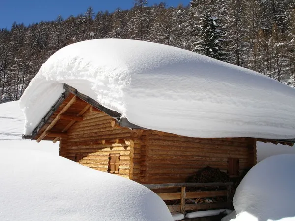 Снег покрывает крыши домов.