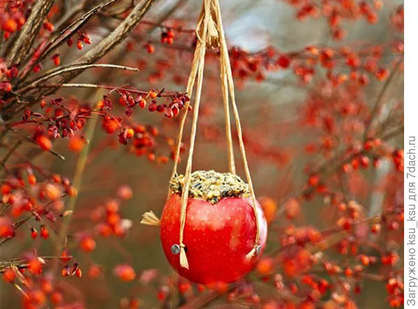 Съедобные продукты из яблок. http://selenaart.ruからの写真