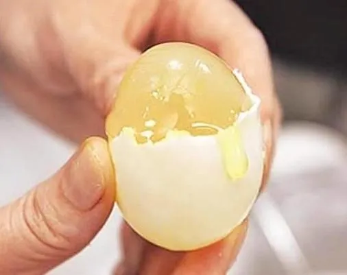 Τεχνητά αυγά - είναι δυνατόν;