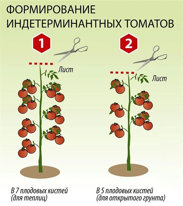 Указатель по садоводству томатов