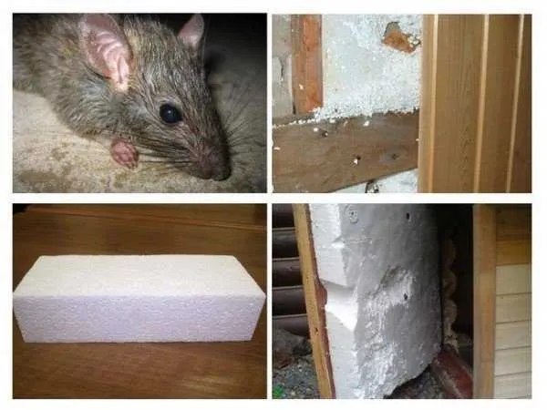 5 изоляторов, которые не грызут мыши