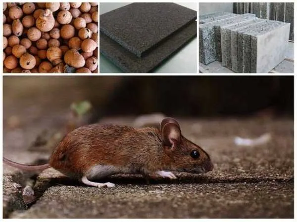 5 изоляторов, которые не грызут мыши